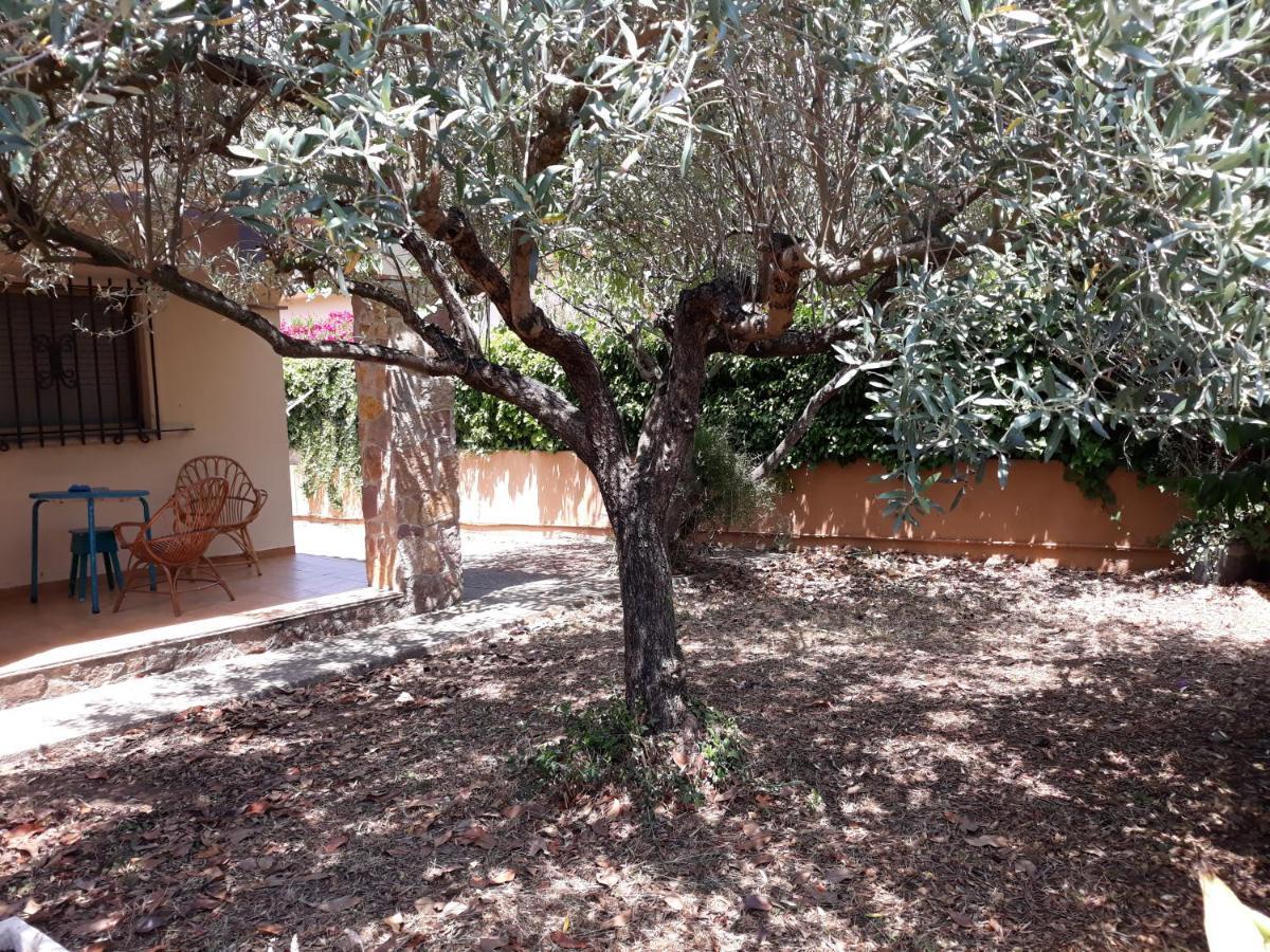 Casa Amb Gran Jardi A Vilauer-Costa Brava - Alt Emporda Vilaur Exterior photo